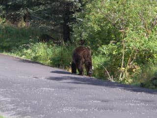 Camper submitted image from Buskin River State Rec Area - 3