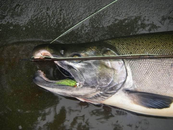 Camper-submitted photo at Buskin River State Rec Area near Port Lions, AK