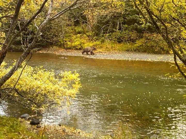 Camper-submitted photo at Buskin River State Rec Area near Port Lions, AK