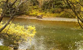 Brad B.'s photo of camping with pets at Buskin River State Rec Area in Alaska