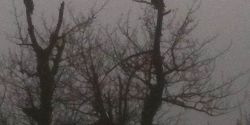 Camper submitted image from Buskin River State Rec Area