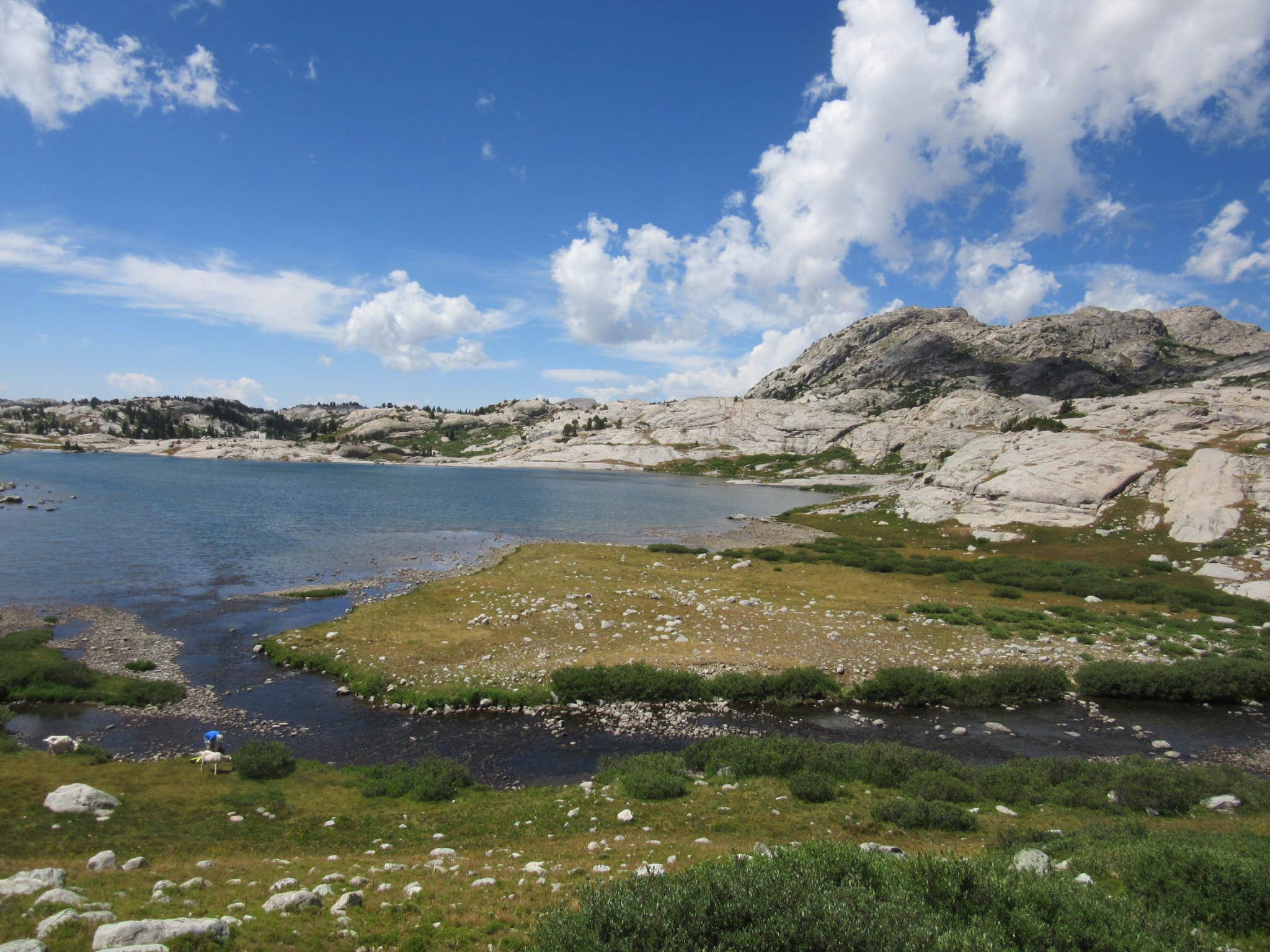 Camper-submitted photo at Trails End Campground Elkhart Park near Cora, WY