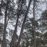 Review photo of Iron Corner Lake Remote Backpacker Site — Itasca State Park by Cody A., May 22, 2019