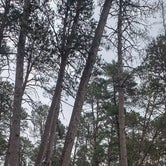 Review photo of Itasca State Park Campground by Cody A., May 22, 2019
