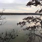 Review photo of Primitive Area — Lake Mineral Wells State Park by Janna R., May 22, 2019