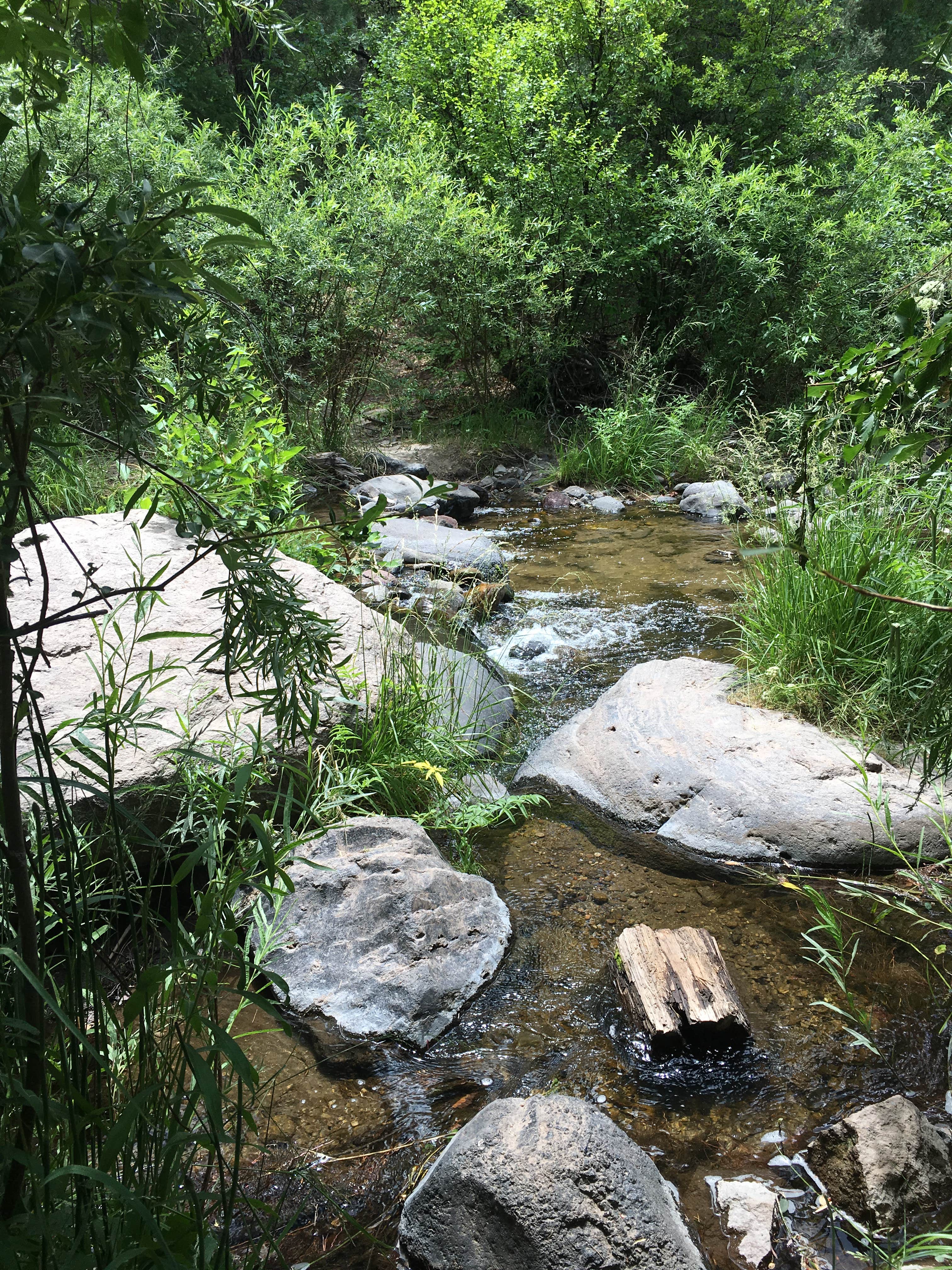 Camper submitted image from Foggy Dew Campground - 4