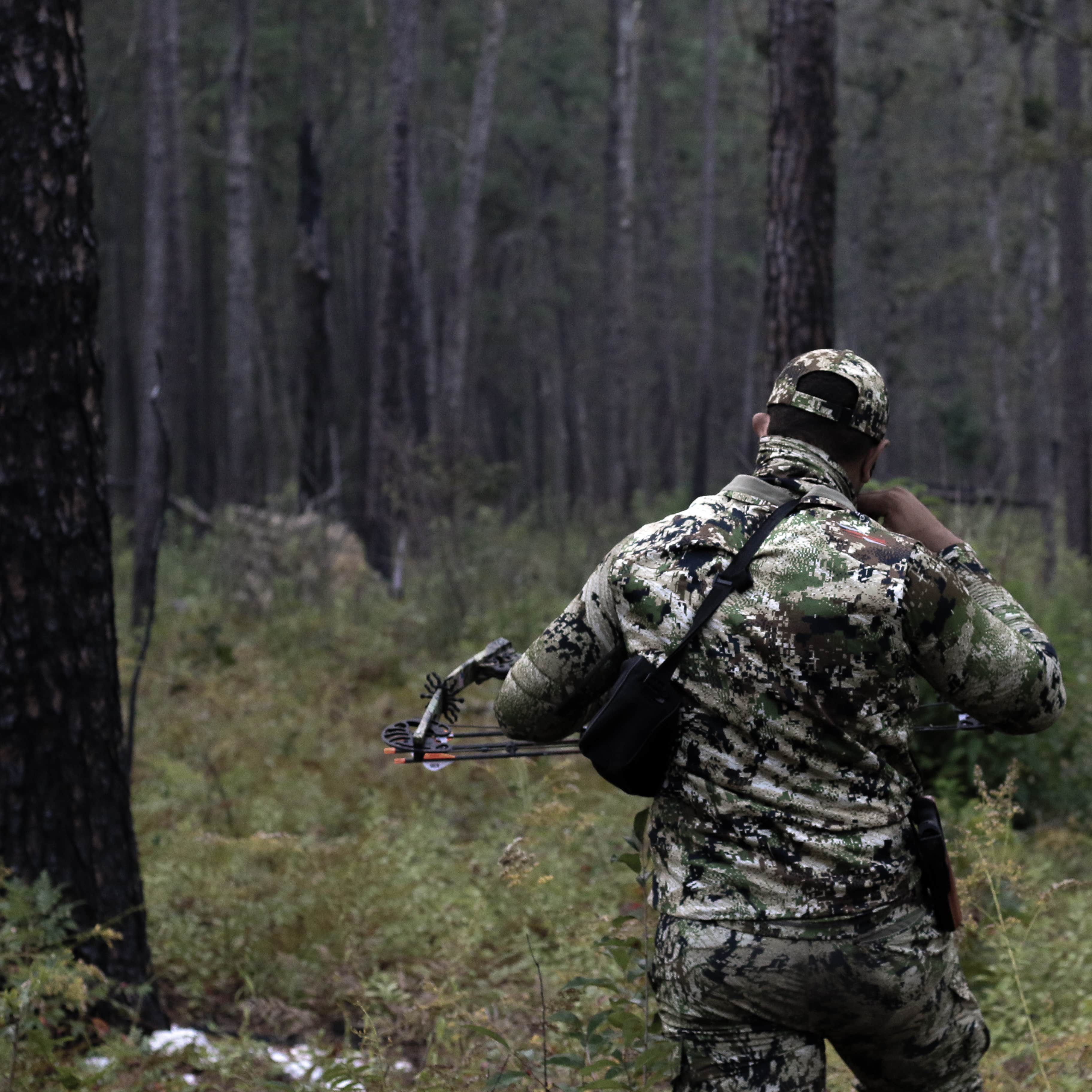 Uwharrie National Forest Camping The Dyrt