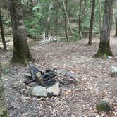 Review photo of Sipsey Wilderness Backcountry Site (Trail 207 Site A) by Asher K., May 23, 2019