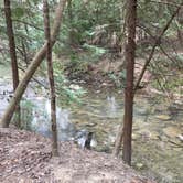 Review photo of Sipsey Wilderness Backcountry Site (Trail 207 Site A) by Asher K., May 23, 2019