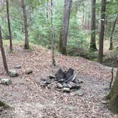 Review photo of Sipsey Wilderness Backcountry Site (Trail 207 Site A) by Asher K., May 23, 2019