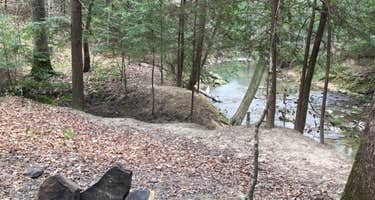Sipsey Wilderness Backcountry Site (Trail 207 Site A)