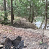 Review photo of Sipsey Wilderness Backcountry Site (Trail 207 Site A) by Asher K., May 23, 2019