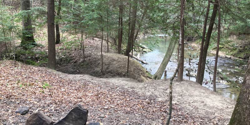 Camper submitted image from Sipsey Wilderness Backcountry Site (Trail 207 Site A)