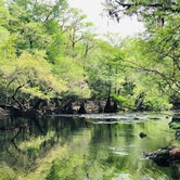 Review photo of O'Leno State Park Campground by Jenn B., May 23, 2019
