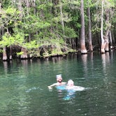 Review photo of Manatee Springs State Park by Jenn B., May 23, 2019