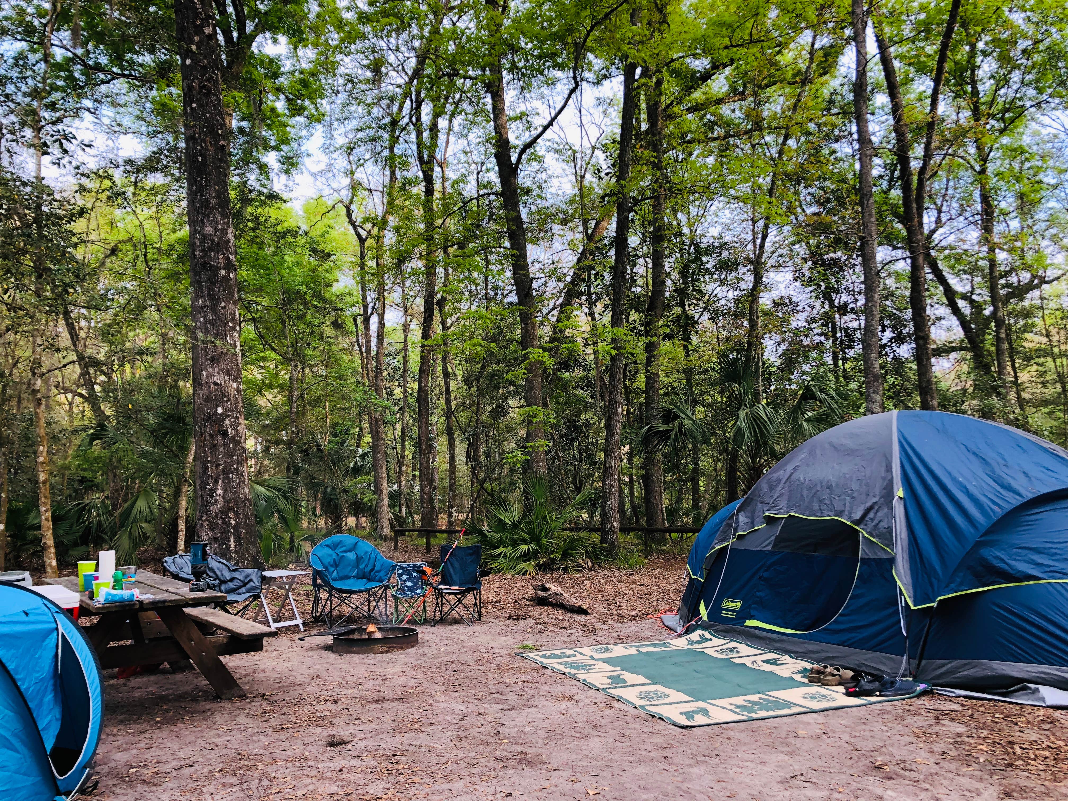 Jenn B.'s photo at Manatee Springs State Park Campground near Trenton, FL