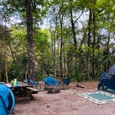 Review photo of Manatee Springs State Park Campground by Jenn B., May 23, 2019