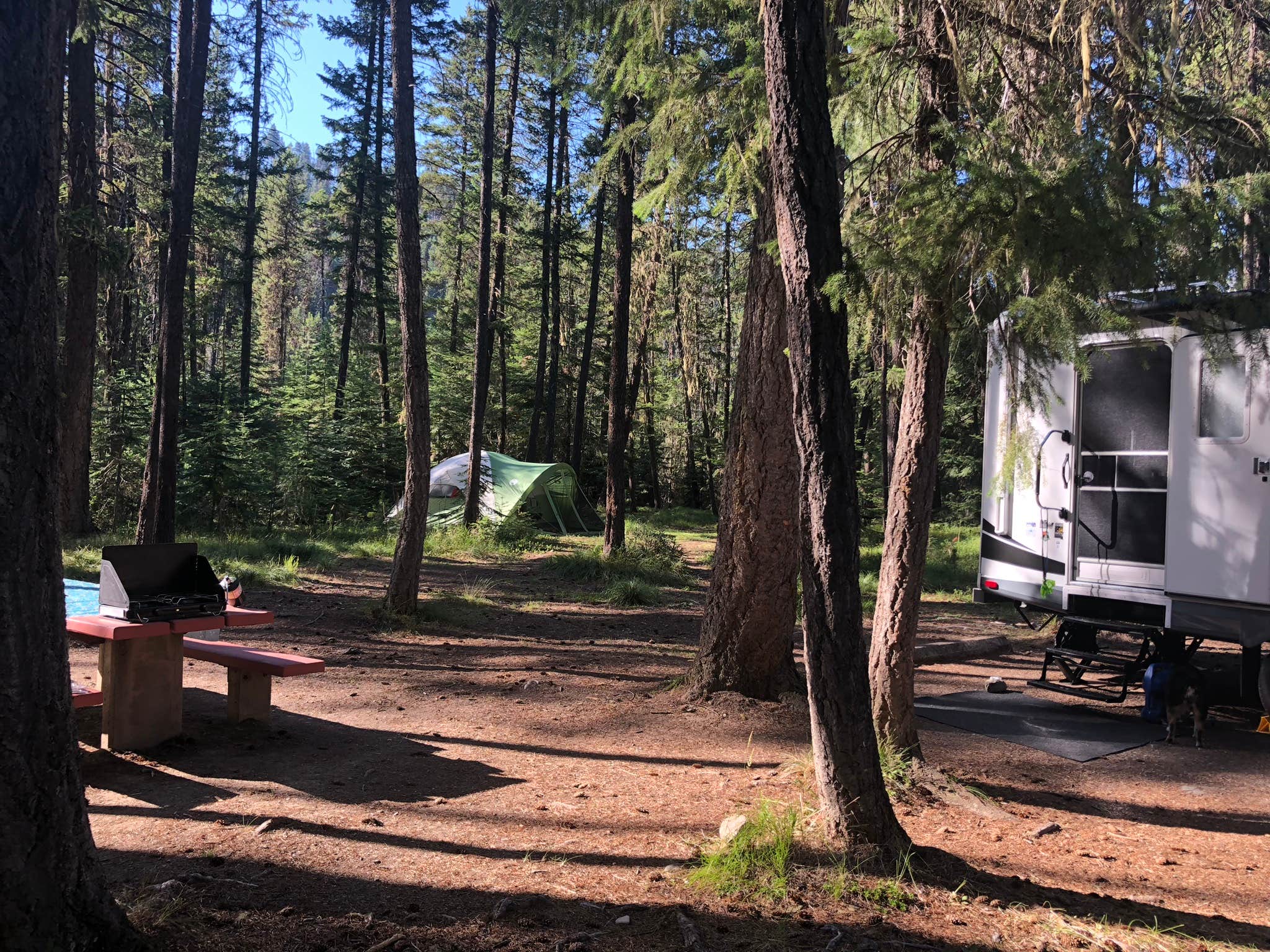 Camper submitted image from Cabin City Campground (Mt) — Lolo National Forest - 2