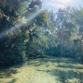 Review photo of Juniper Springs Rec Area - Tropical Camp Area by Jenn B., May 23, 2019