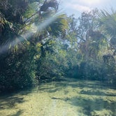Review photo of Juniper Springs Rec Area - Tropical Camp Area by Jenn B., May 23, 2019