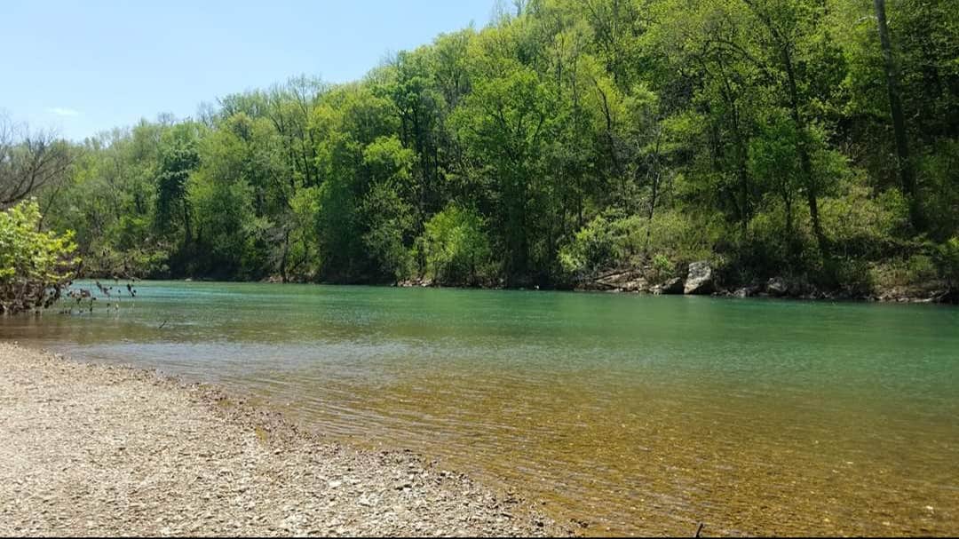 Camper-submitted photo at Dillards Ferry — Buffalo National River near Leslie, AR