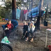 Review photo of Salt Springs Recreation Area by Sean B., May 23, 2019