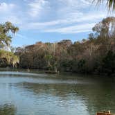 Review photo of Salt Springs Recreation Area by Sean B., May 23, 2019