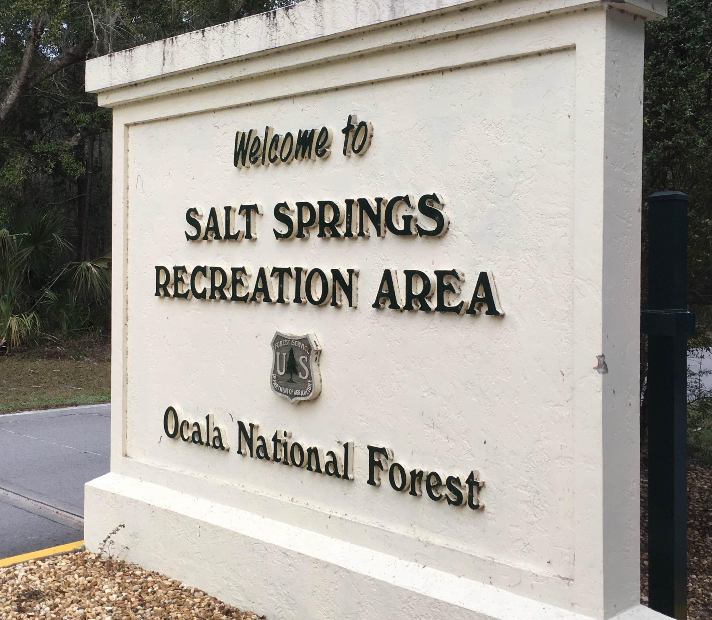 Camper submitted image from Salt Springs Recreation Area - 4