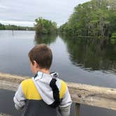 Review photo of Manatee Springs State Park Campground by Sean B., May 23, 2019