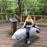 Review photo of Manatee Springs State Park Campground by Sean B., May 23, 2019