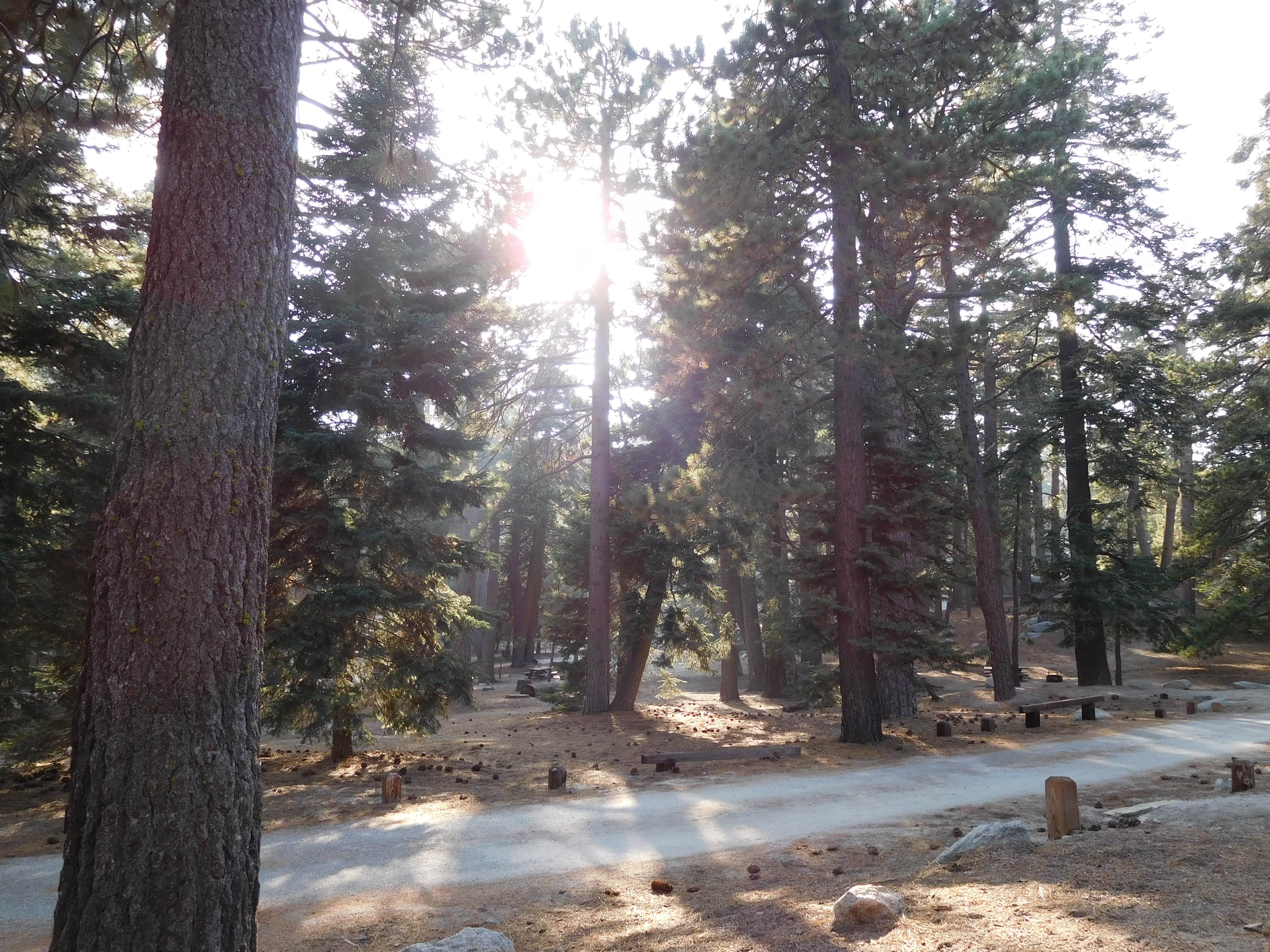 Camper-submitted photo at Boulder Basin near Idyllwild-Pine Cove, CA