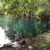 Review photo of Manatee Springs State Park Campground by Sean B., May 23, 2019
