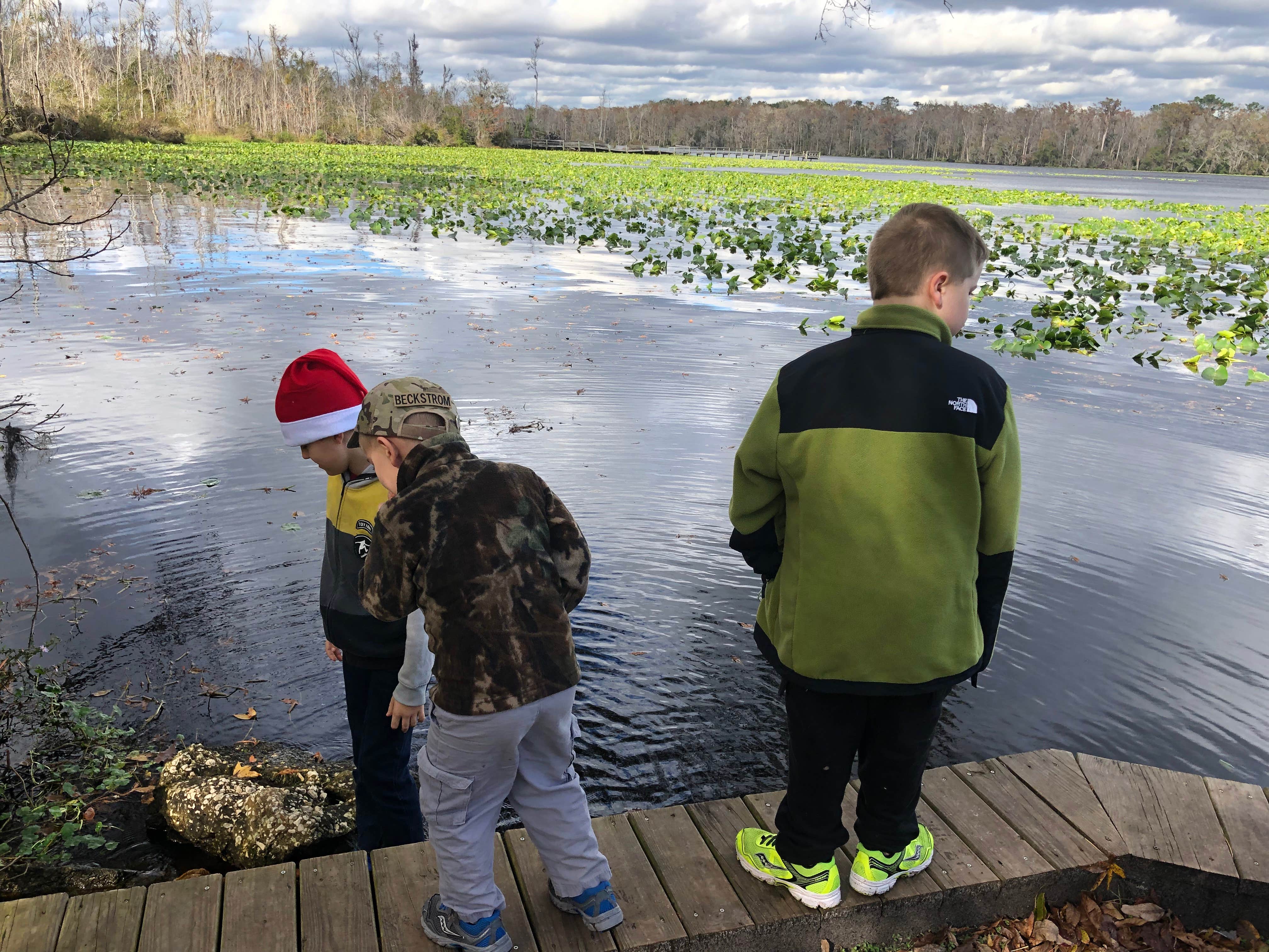 Camper-submitted photo at Camp Chowenwaw Park near Middleburg, FL