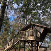 Review photo of Camp Chowenwaw Park - Treehouse Point by Sean B., May 23, 2019