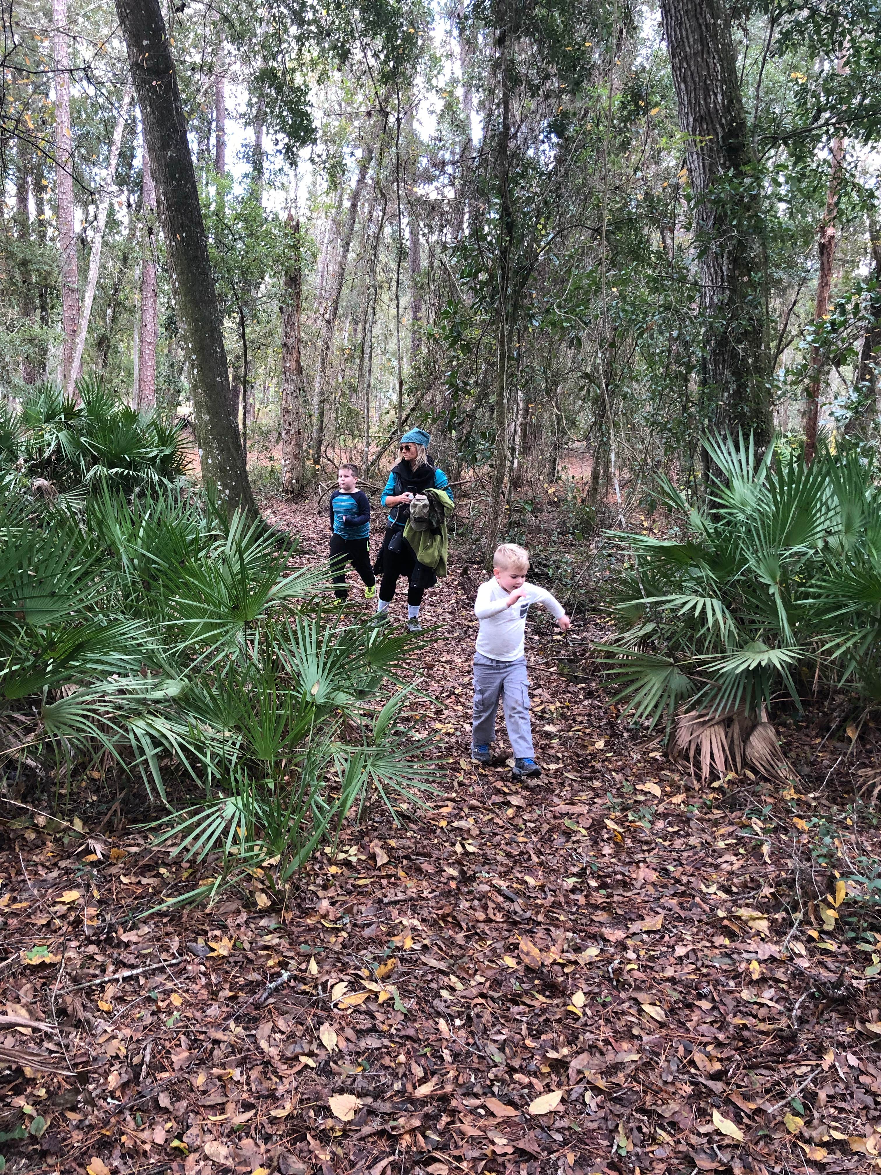 Camper submitted image from Camp Chowenwaw Park - Treehouse Point - 2