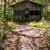 Review photo of Camp Chowenwaw Park - Treehouse Point by Sean B., May 23, 2019