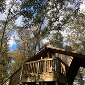 Review photo of Camp Chowenwaw Park - Treehouse Point by Sean B., May 23, 2019