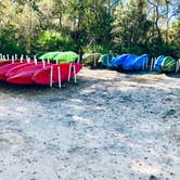 Review photo of Juniper Springs Rec Area - Tropical Camp Area by Sean B., May 23, 2019