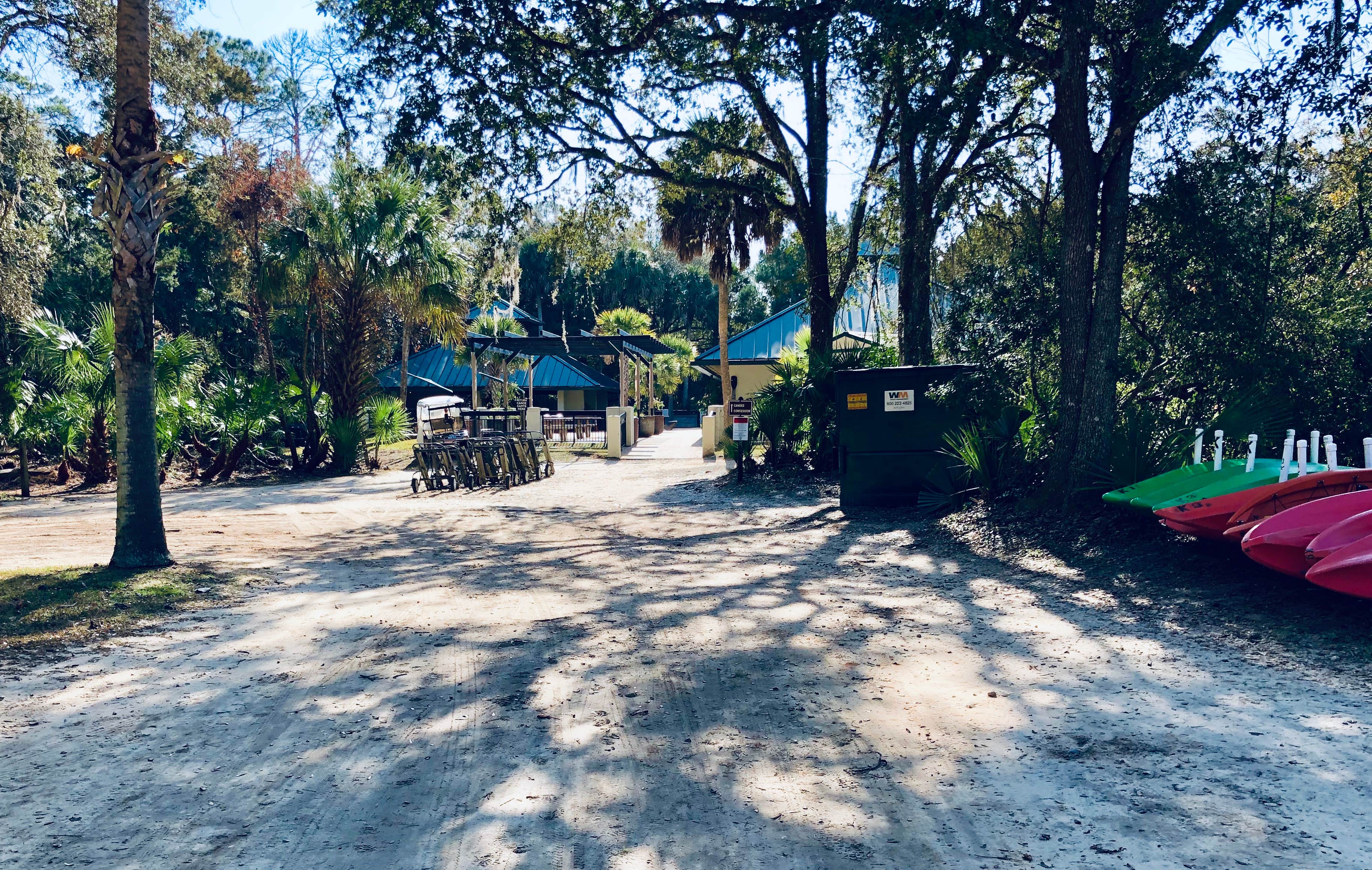 Camper submitted image from Juniper Springs Rec Area - Tropical Camp Area - 5