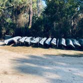 Review photo of Juniper Springs Rec Area - Tropical Camp Area by Sean B., May 23, 2019