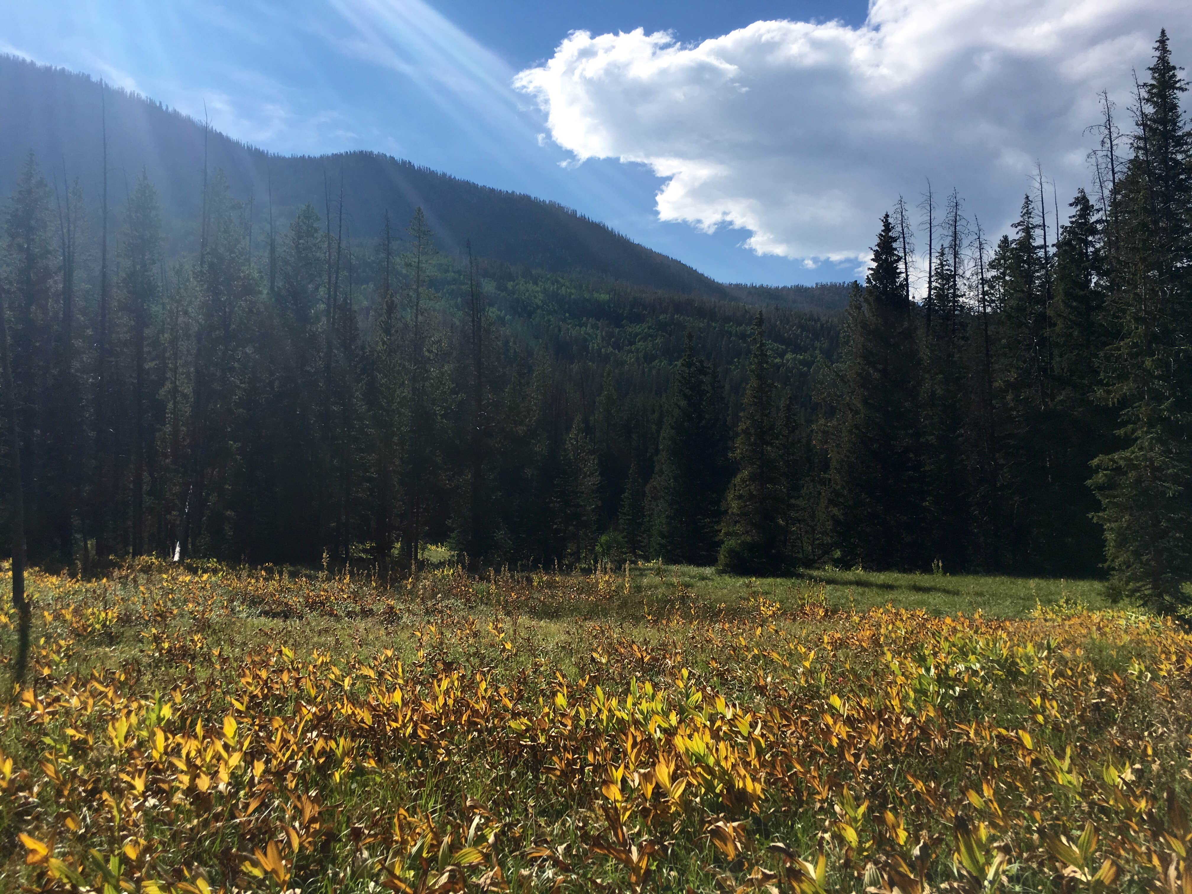 Camper submitted image from Uinta Canyon - 2