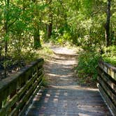 Review photo of Dogwood Campground — O'Leno State Park by Sean B., May 23, 2019