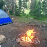 Review photo of Uinta Canyon by kendall B., August 30, 2016