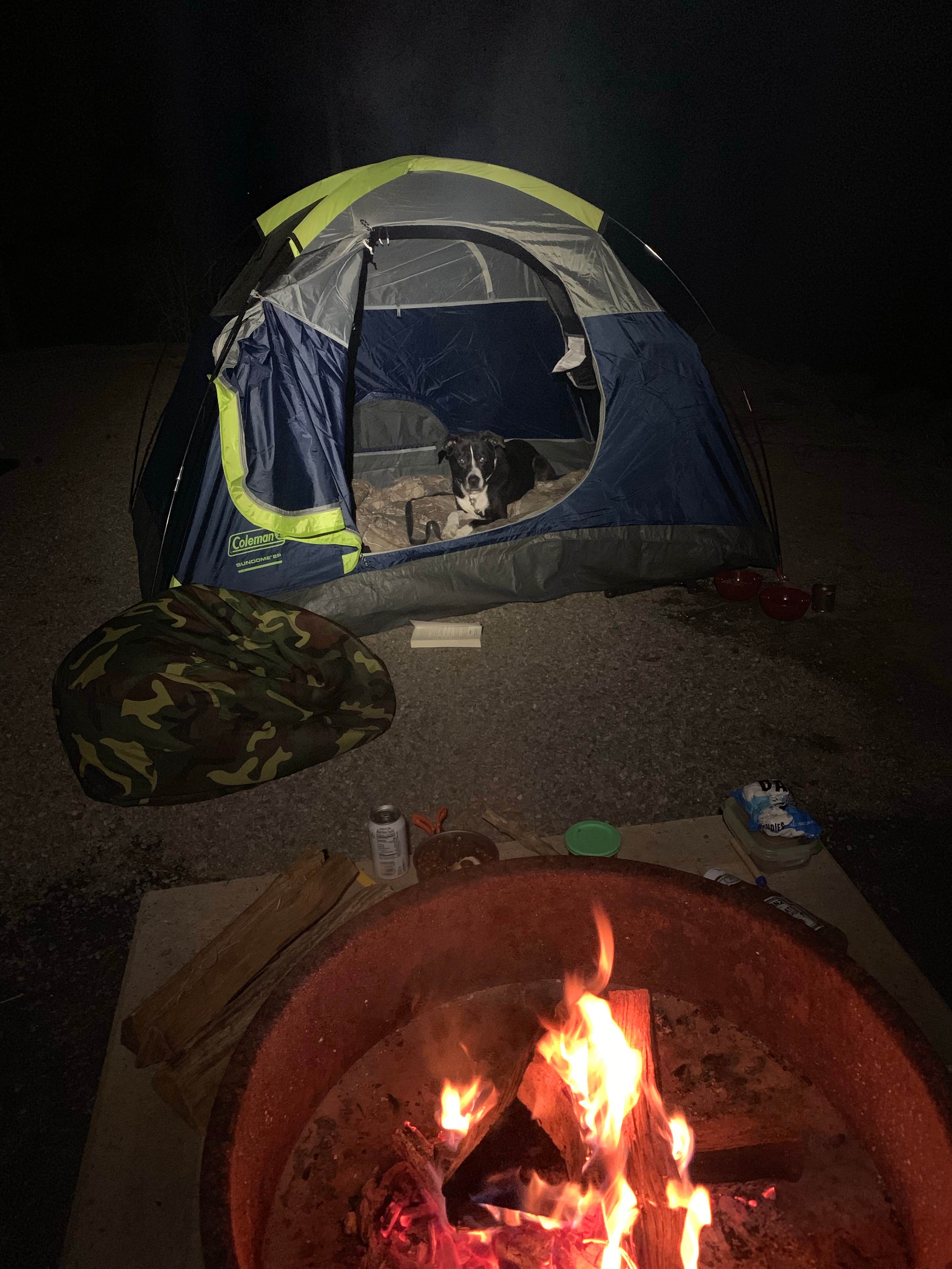 Jesse B.'s photo of camping with pets at Poplar Point Campground — Jordan Lake State Recreation Area near Graham, NC
