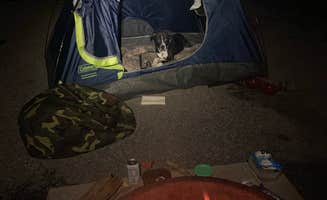 Jesse B.'s photo of camping with pets at Poplar Point Campground — Jordan Lake State Recreation Area near Graham, NC