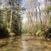 Review photo of Sipsey Wilderness Backcountry Site (Trail 207 Site B) by Asher K., May 23, 2019