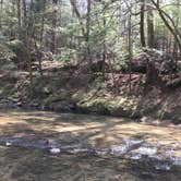 Review photo of Sipsey Wilderness Backcountry Site (Trail 207 Site B) by Asher K., May 23, 2019