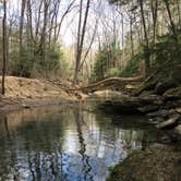 Review photo of Sipsey Wilderness Backcountry Site (Trail 207 Site B) by Asher K., May 23, 2019