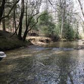 Review photo of Sipsey Wilderness Backcountry Site (Trail 207 Site B) by Asher K., May 23, 2019