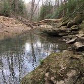 Review photo of Sipsey Wilderness Backcountry Site (Trail 207 Site B) by Asher K., May 23, 2019